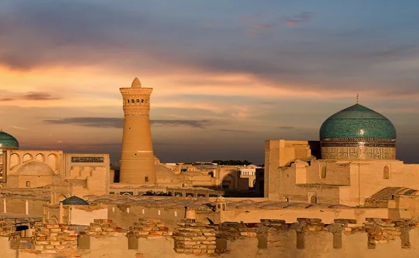 乌兹别克斯坦海关数据查询平台（附免费试用查询名额)